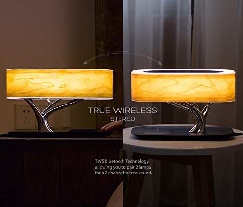 Bonsai Modern LED Bedside Smart Table Lamp with Built