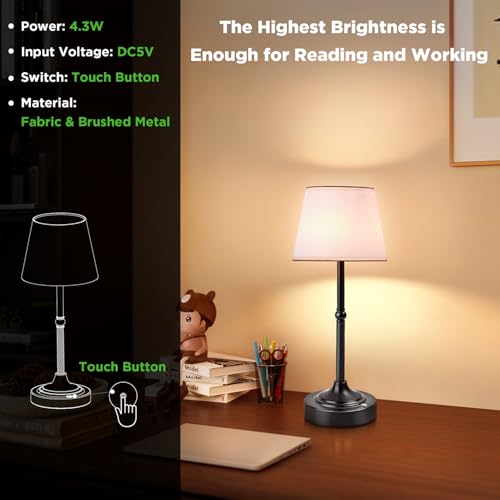 Cordless Table Lamp