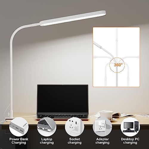 Led Desk Lamp