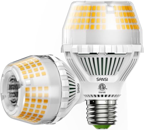 300W Equivalent 5000 Lumens LED Light Bulb (2 Count)