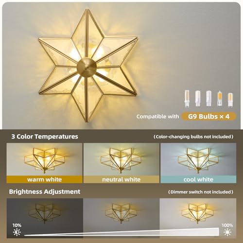 Star Brass Vintage Ceiling Light