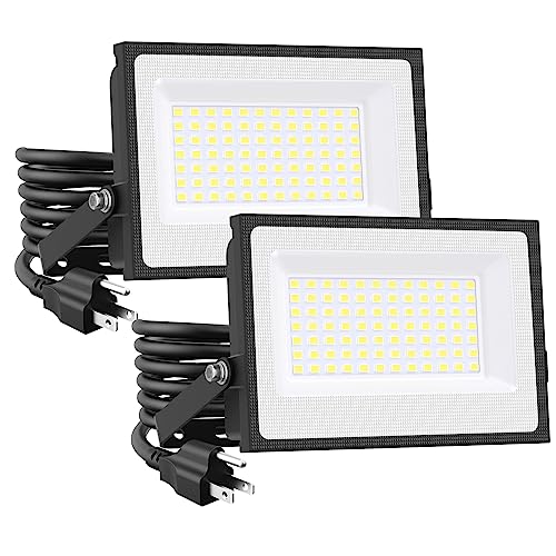 80W Flood Lights Outdoor (2 Count)