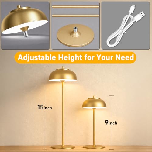 Cordless Table Lamps (2 Count)