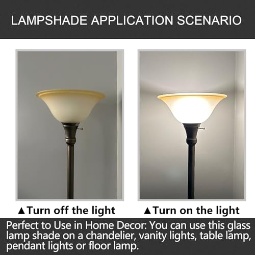 Antique Glass Lamp Shade for Floor lamp