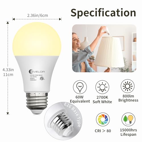 6 Packs LED Light Bulbs (6 Count)