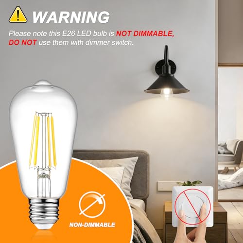 12 Pack Vintage LED Edison Light Bulb 60W Equivalent (12 Count)