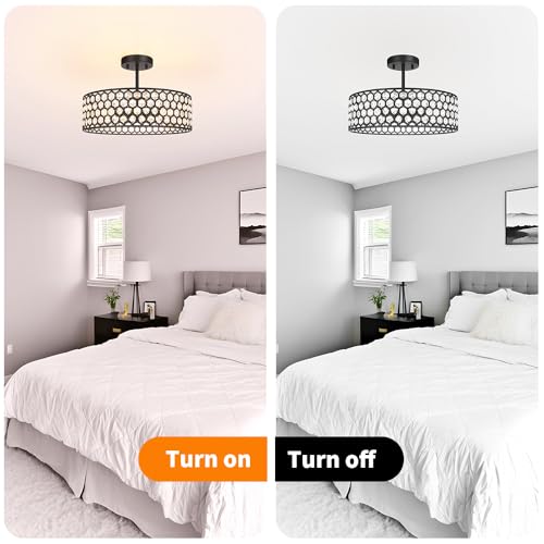 Black Crystal Ceiling Light Fixture