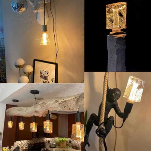 Decorative Light Bulb ICE Style Shaped E26 Edison Bulb Medium Base (3 Count)