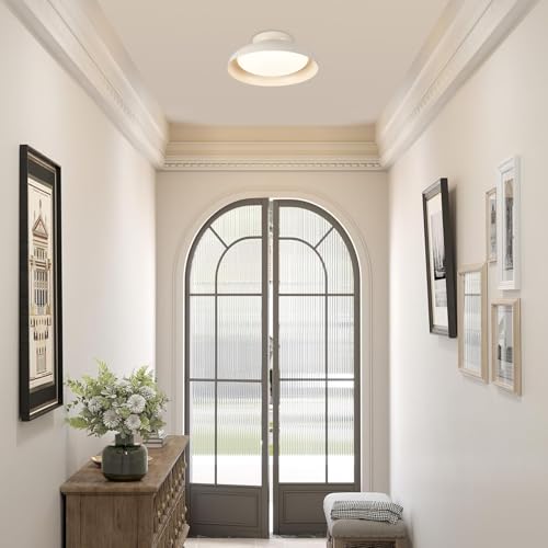 Dimmable LED Ceiling Light