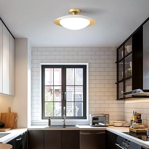Dimmable Modern Mid