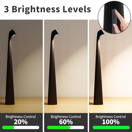 Cordless Rechargeable Reading Metal Table Lamp