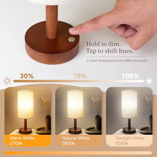 Cordless Table Lamp