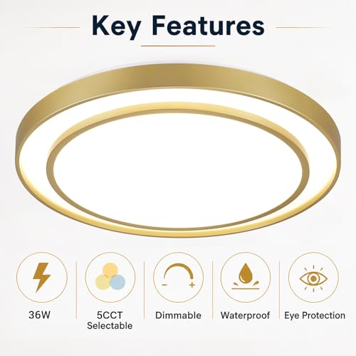 Gold LED Flush Mount Ceiling Light 20 Inch (Gold / 20Inch)