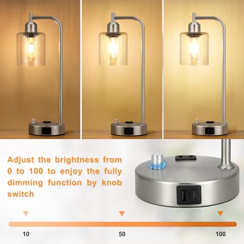 Industrial Table Lamps for Bedrooms Set of 2 (2 Count)