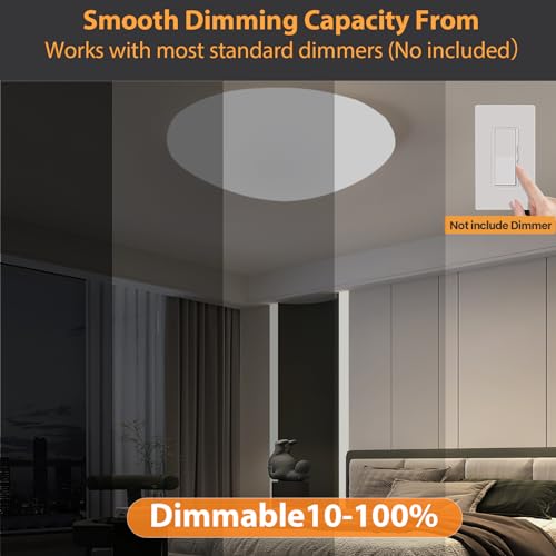 13 inch Flush Mount Ceiling Light (White)