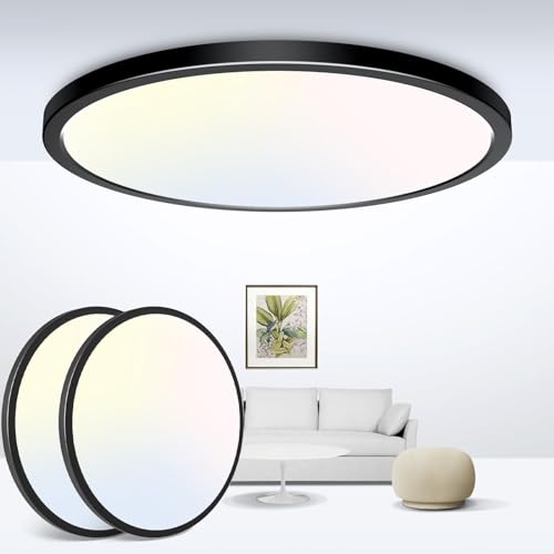 Black Ceiling Light 9 Inch (2 Count)