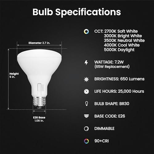 BR30 LED Light Bulbs (6 Count)