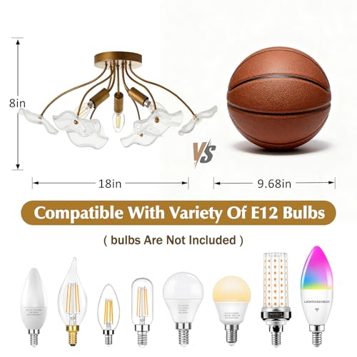 Semi Flush Mount Ceiling Light Fixture