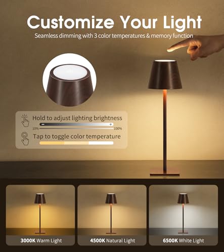3 Pack Cordless Table Lamp (3 Count)
