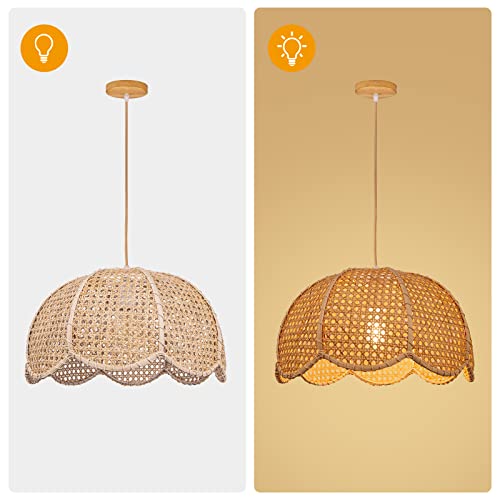 Indoor Hanging Ceiling Light Fixture