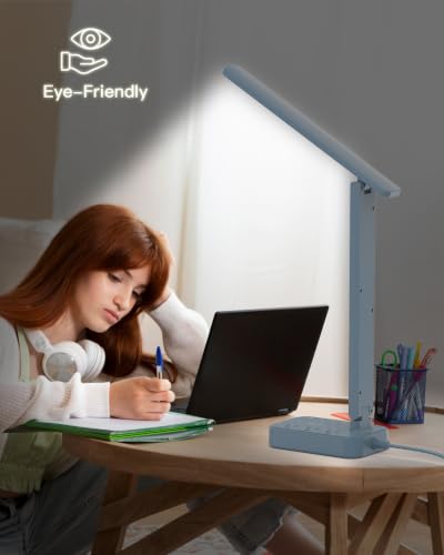 LED Desk Lamp