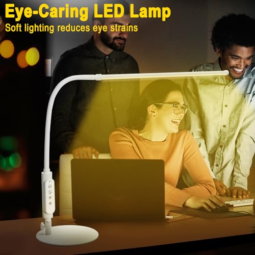 LED Desk Lamp