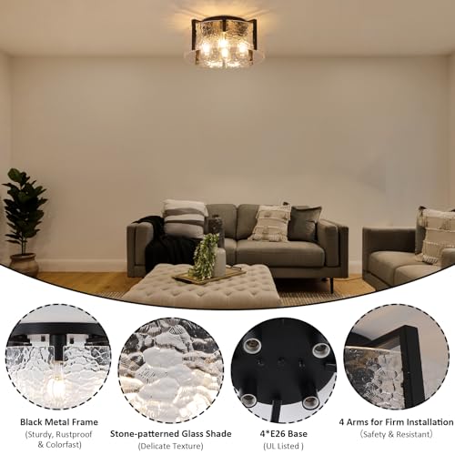 Black Flush Mount Ceiling Light Fixture