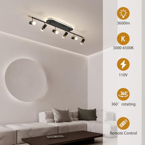 Modern LED Ceiling Lights