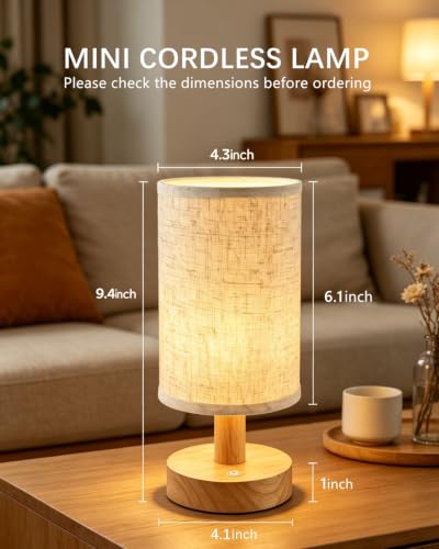Mini Rechargeable Cordless Table Lamp
