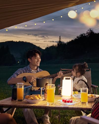 Solar Camping Lantern