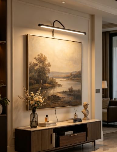 Plug in Picture Light for Wall (Black / 24 Inch)