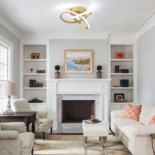 Modern Led Ceiling Light Fixture