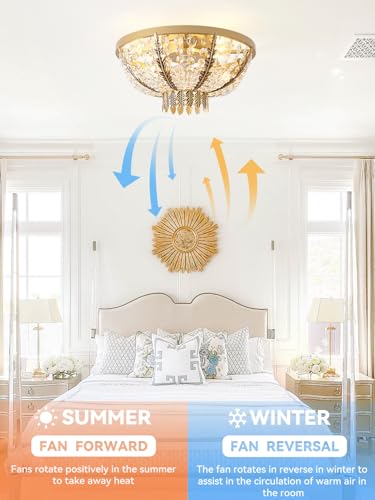 20" Gold Crystal Fandelier Ceiling Fan with Light (Crystal Fandelier)