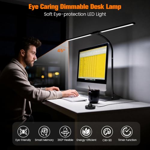 Desk Lamp for Home Office (Black)