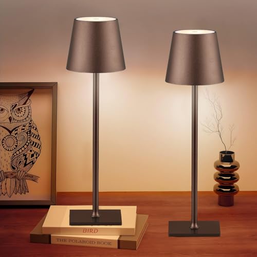 2 Pack Cordless Table Lamps