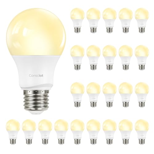 A19 LED Light Bulb (24 Count)