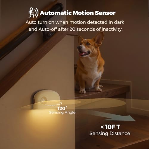 Motion Sensor Night Light (3 Count)