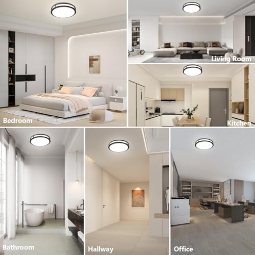 10inch LED Flush Mount Ceiling Light Fixture Dimmable Matte Black (2 Count)