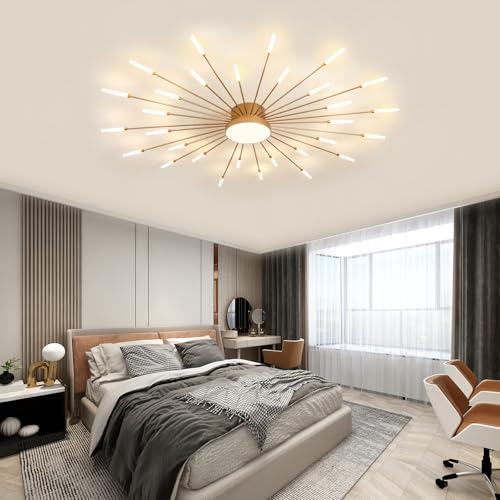 Modern Ceiling Light