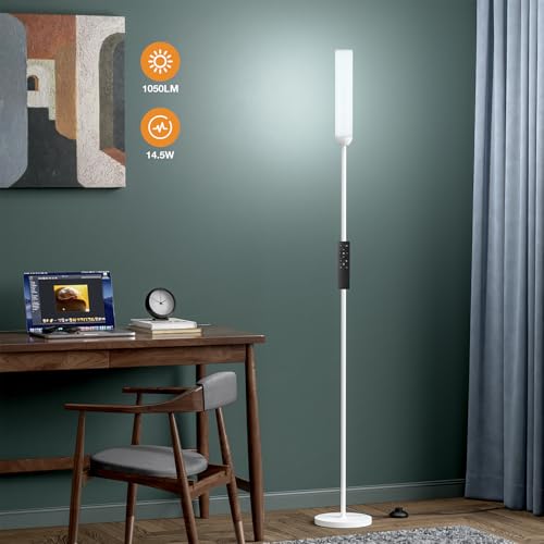 LED Floor Lamp with Remote Control