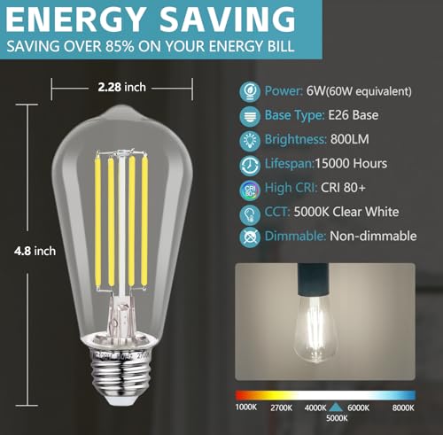 4 Pack Vintage LED Edison Bulbs (4 Count)