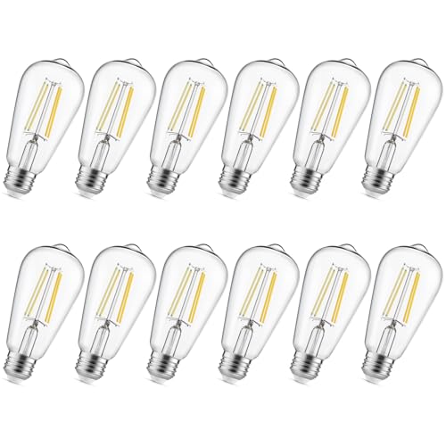 LED Edison Light Bulbs (12 Count)