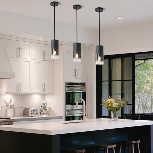 Pendant Light Fixtures (2 Count)