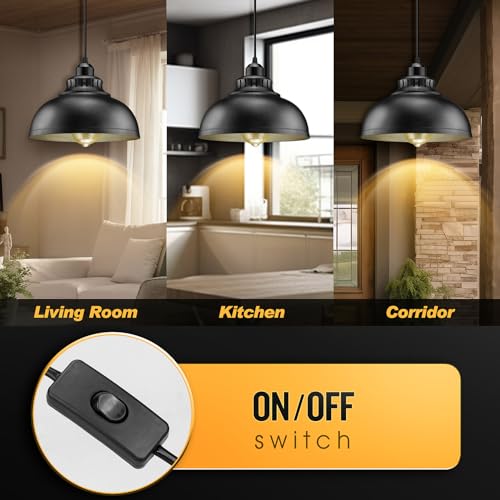 Plug in Pendant Light