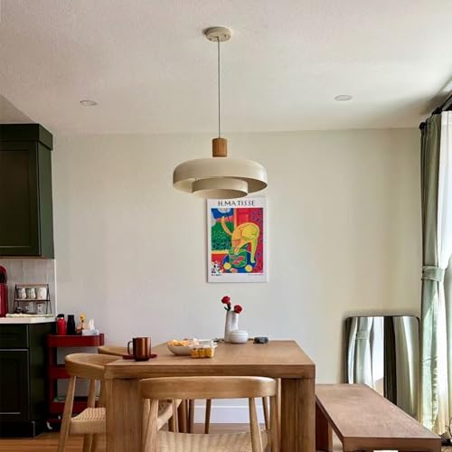Mid Century Large Pendant Light 19.68 inch