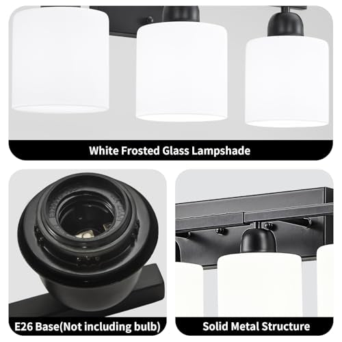 10 Light Black Vanity Lights for Giant Mirror