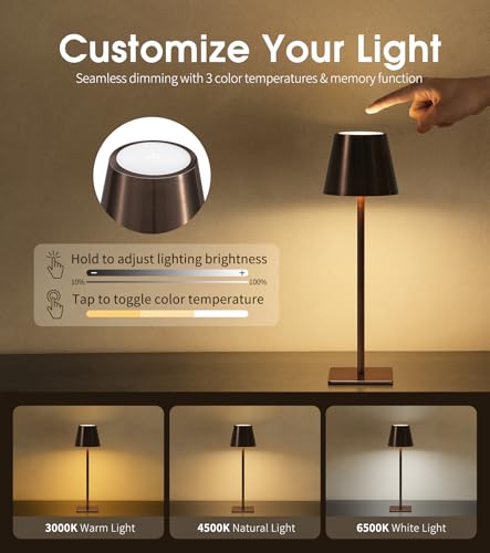 3 Pack Cordless Table Lamp (3 Count)