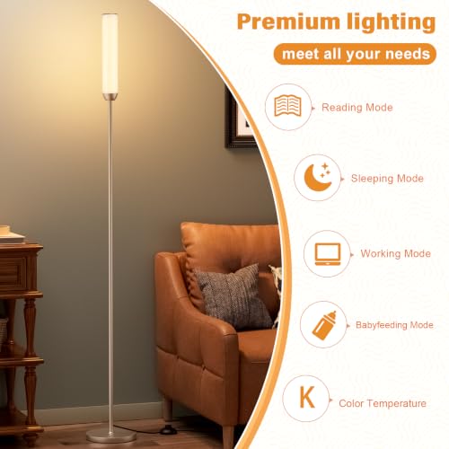 LED Floor Lamp with Remote Control