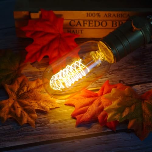 6 Pack Edison Light Bulbs 40 Watt Dimmable T45 Vintage Warm Bulbs (6 Count)