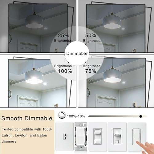 5 Inch Edison Bulb (4 Count)
